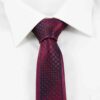 Klassisk rødt blåternet slips 12